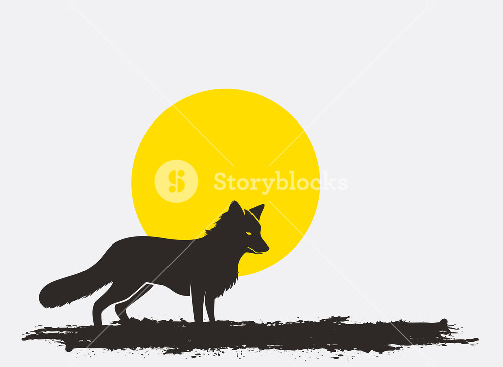 1000x731 Wild Fox Silhouette In Sunlight Vector Royalty Free Stock Image