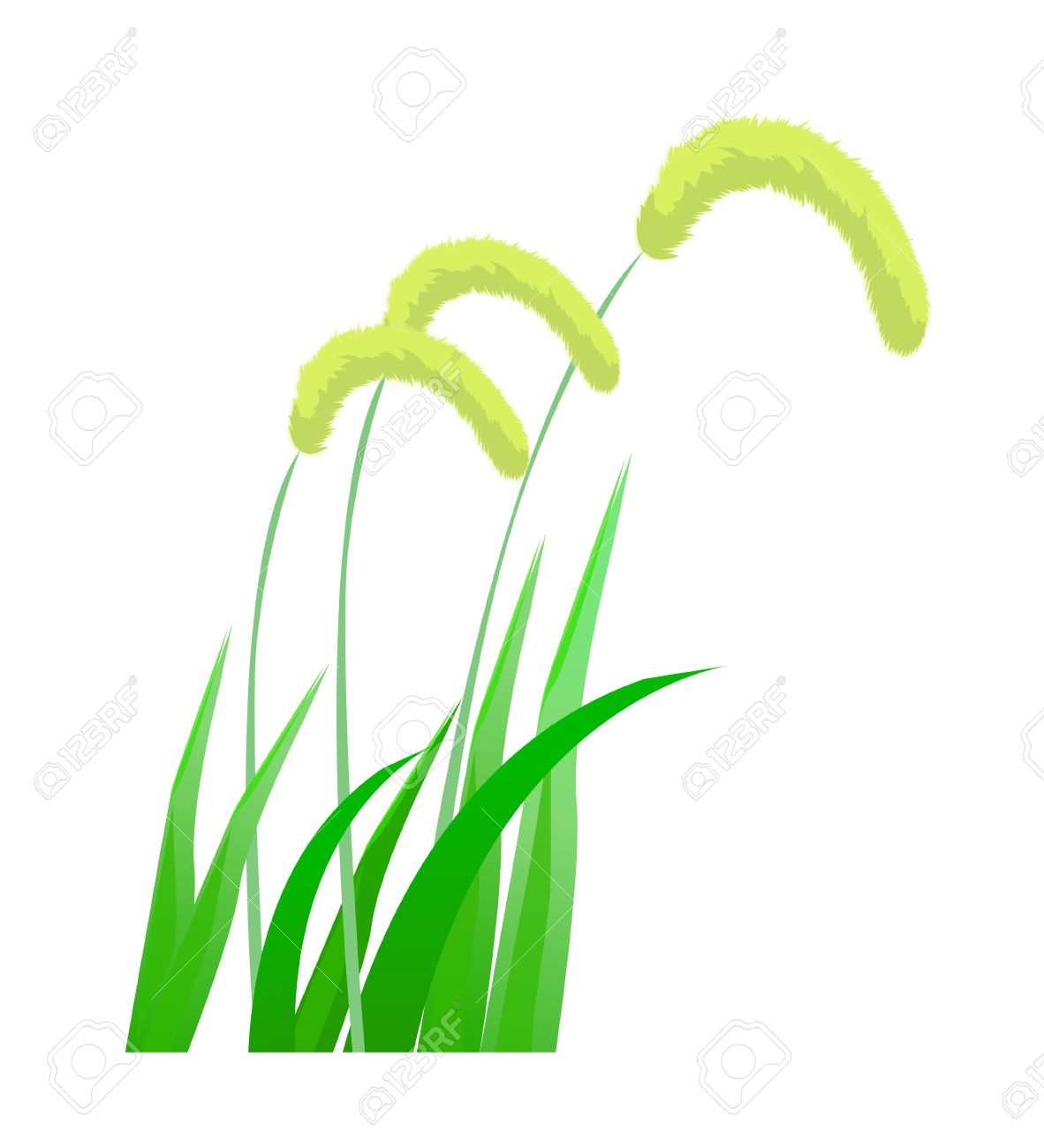 1182x1300 Foxtail Clipart Free Cliparts Download Images On Clipground