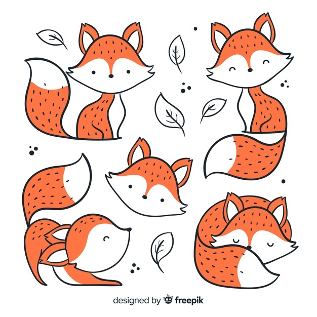 626x626 Fox Vectors, Photos And Free Download