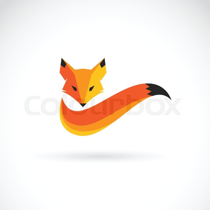800x800 Vector Image Of An Fox Design On White Stock Vector Colourbox