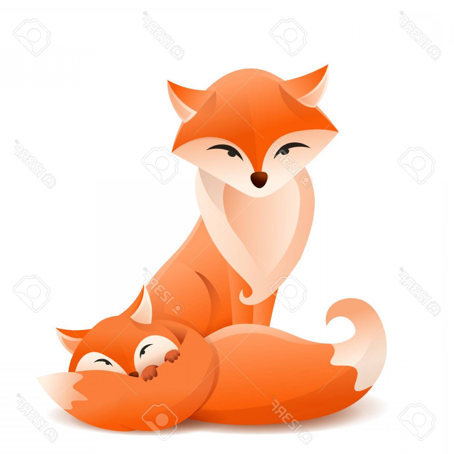 1560x1560 Fox Vector Catchsplace