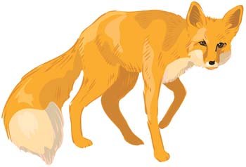 350x238 Free Fox Vector Clipart And Vector Graphics