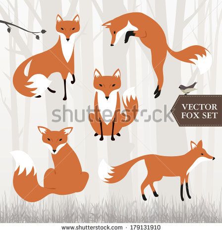 448x470 Fox Vector Logo