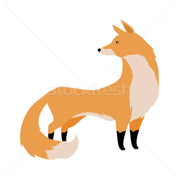 Fox Vector Illustration In Flat Design Vector Illustration 600x600 Fox Vector Illustration In Flat Design Vector Illustration