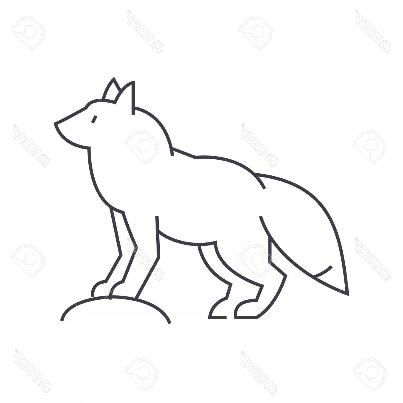 Fox Vector Line Cqrecords 1560x1560 Fox Vector Line Cqrecords