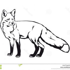 Fox Vector Silhouette Fox Vector Silhouette Wild Animal Image 300x300 Fox Vector Silhouette Fox Vector Silhouette Wild Animal Image