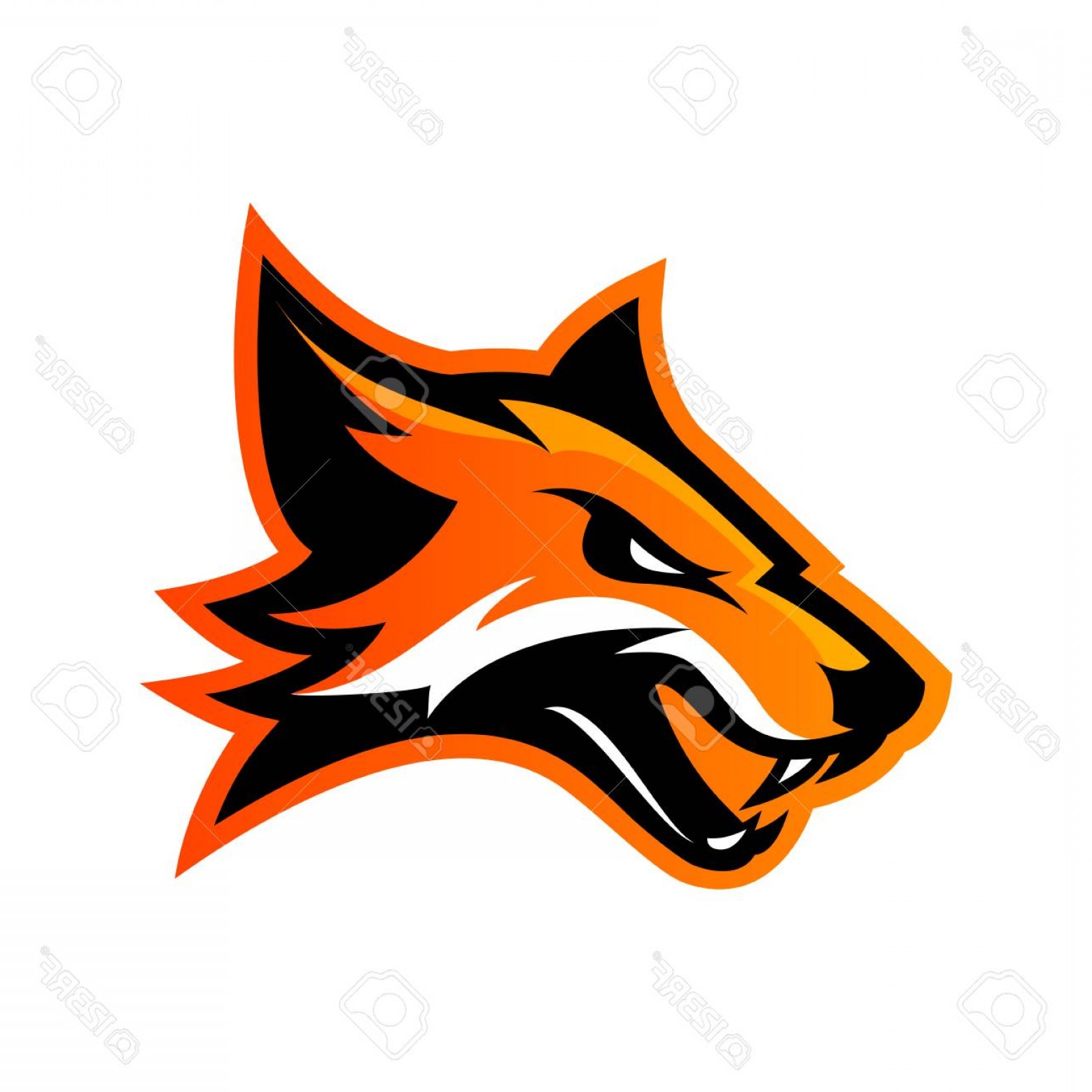 Photostock Vector Furious Fox Sport Club Vector Logo Concept 1560x1560 Photostock Vector Furious Fox Sport Club Vector Logo Concept