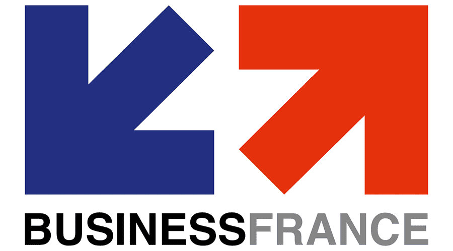 900x500 Business France Vector Logo