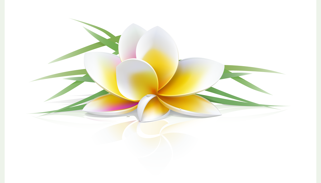 Frangipani Vector