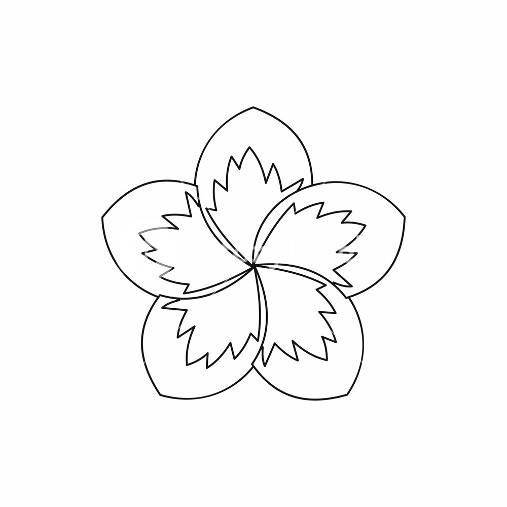 1000x1000 Frangipani Flower Icon In Outline Style Isolated Vector