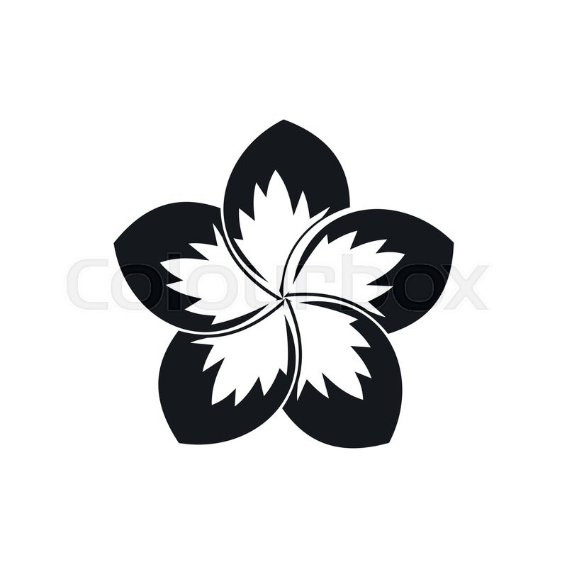 Frangipani Vector At Vectorified.com | Collection Of Frangipani Vector ...