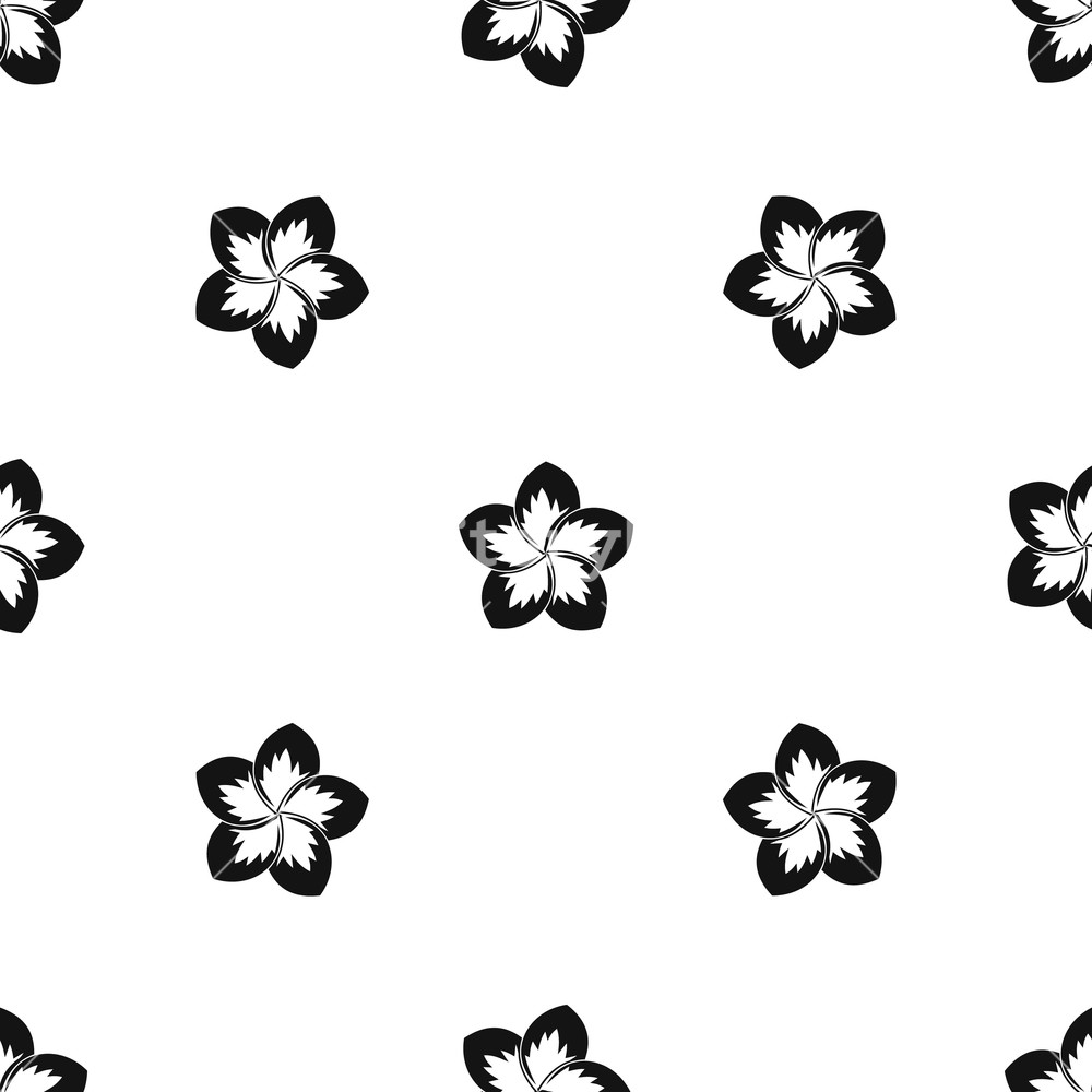 1000x1000 Frangipani Flower Pattern Repeat Seamless In Black Color For Any
