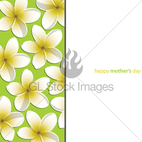 500x500 Happy Mother's Day Frangipani