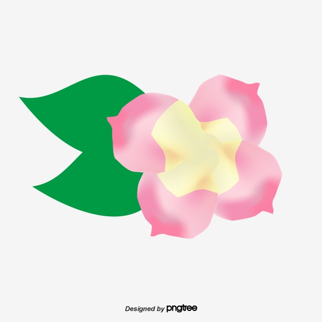 640x640 Plumeria Png, Vector, And Clipart With Transparent Background