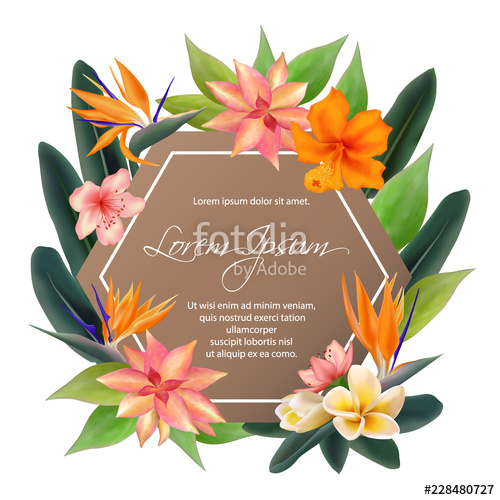 500x500 Tropical Hexagon Frame Vector Illustration With Hibiscus, Plumeria