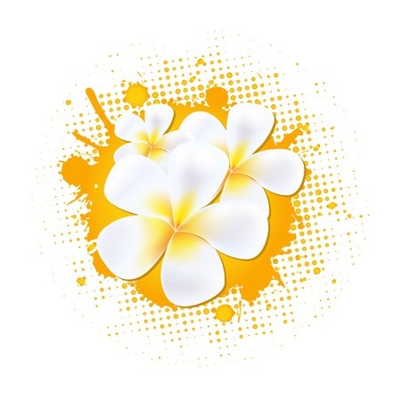 450x450 Flower Background With Frangipani, Vector Illustration Royalty