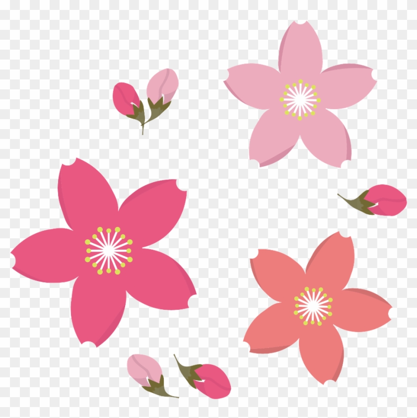 840x842 Frangipani Vector