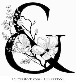 260x280 Vector Hand Drawn Floral Ampersand Monogram Or Logo Ampersand