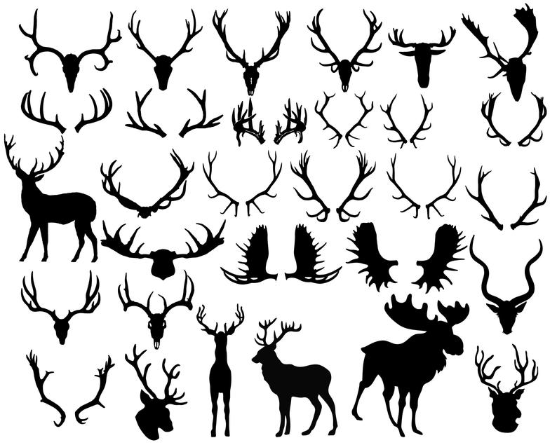 794x635 Antler Silhouette Antler Clipart Animal Clip Art Deer Horn Etsy