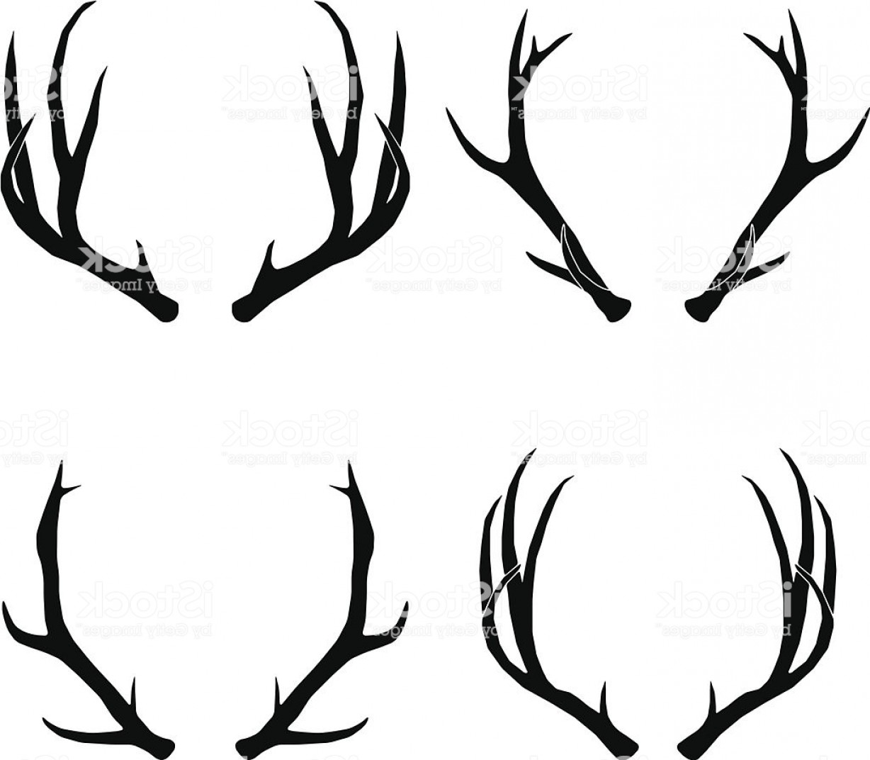 1228x1072 Elk Antler Vector