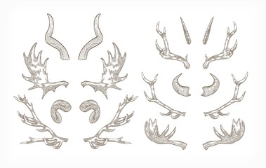 379x240 Antler Vector Photos, Royalty Free Images, Graphics, Vectors