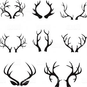 300x300 Top Free Deer Antler Silhouette Soidergi