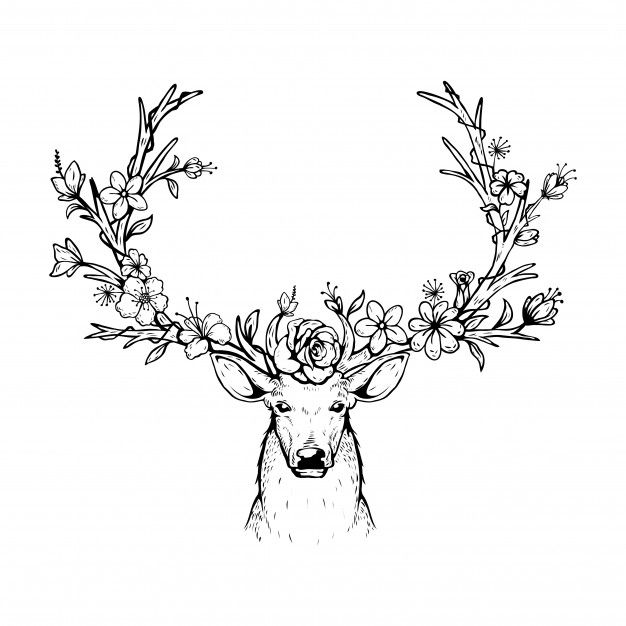 626x626 Vector Illustration Of A Head Deer With Antlers Floral Premium