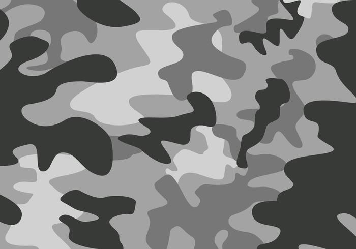 700x490 Camouflage Free Vector Art