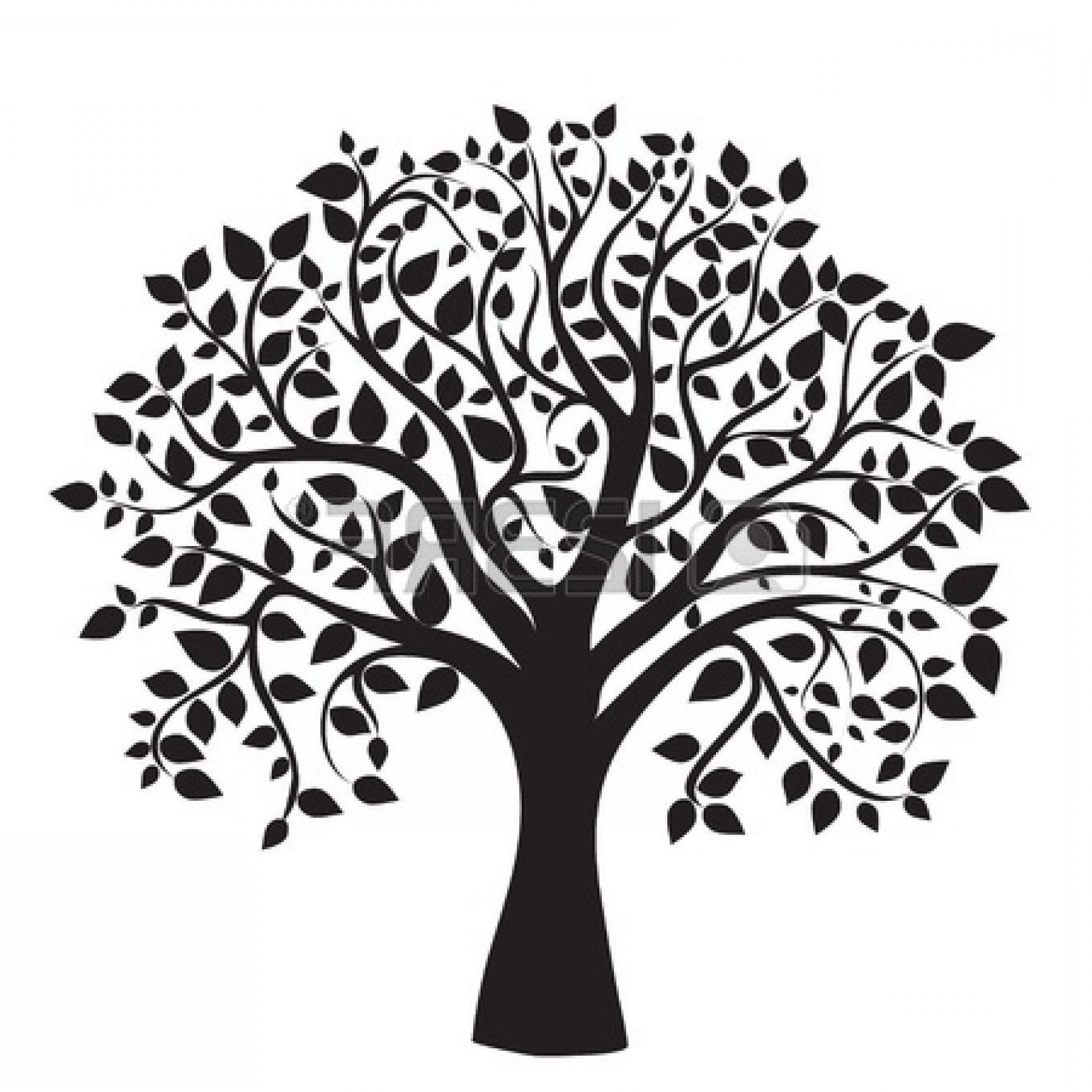 1620x1620 Free Clipart Images Tree Of Life Soidergi