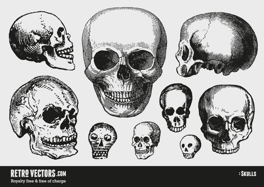 841x596 Free Vector Skulls Vintage Vectors Royalty Free Free