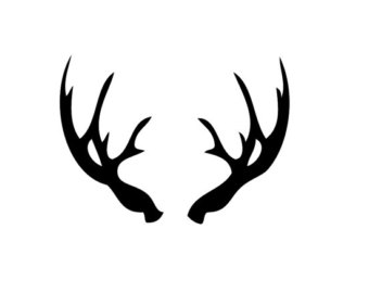 Free Deer Antler Vector