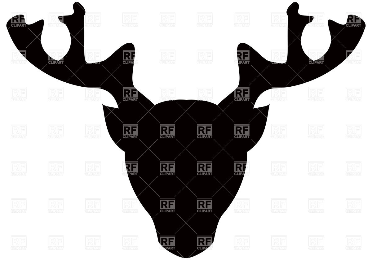 1200x840 Deer's Head With Antler