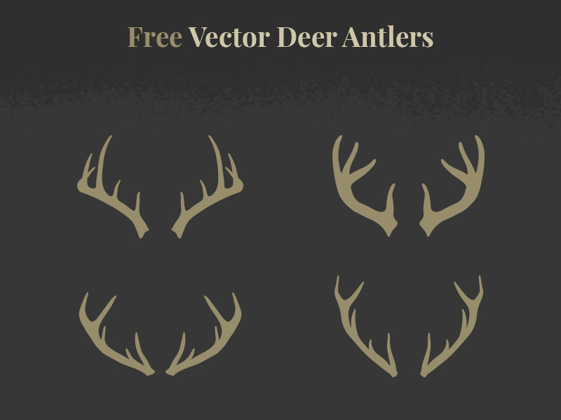 Free Deer Antler Vector at Collection of Free Deer