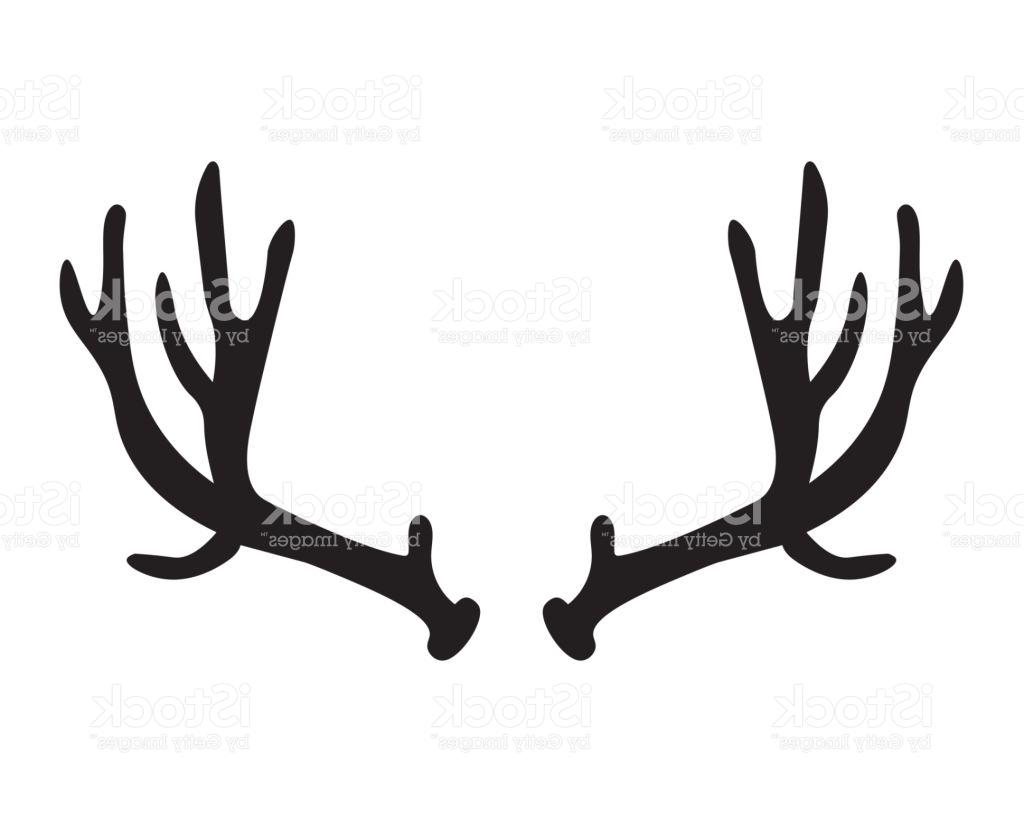 1024x820 Best Hd Deer Antler Vector Clip Art Drawing Free Vector Art