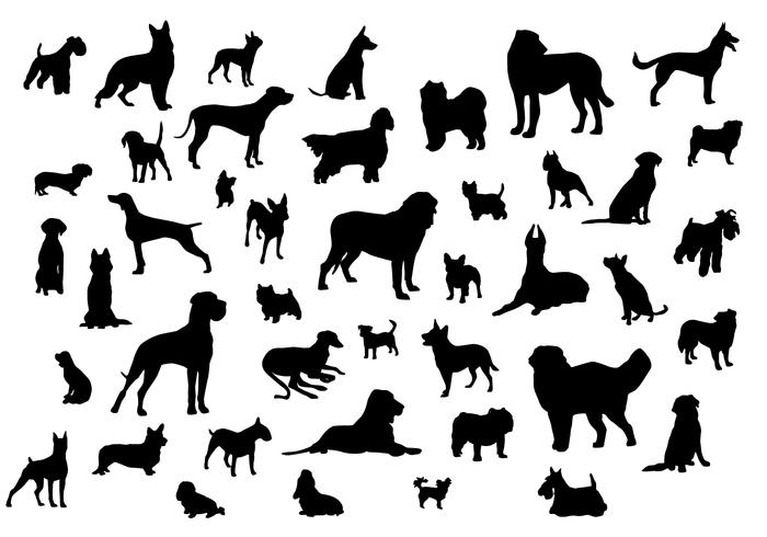 Dog Silhouettes 700x490 Dog Silhouettes