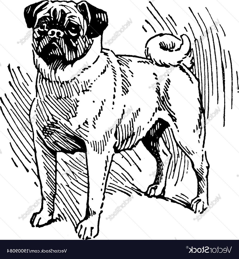 Best Hd Vintage Dog Art Vector Images Free Vector Art, Images 998x1080 Best Hd Vintage Dog Art Vector Images Free Vector Art, Images
