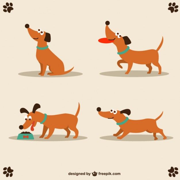 Dog Cute Character Design Free Vector Free Vectors Dog Vector 626x626 Dog Cute Character Design Free Vector Free Vectors Dog Vector
