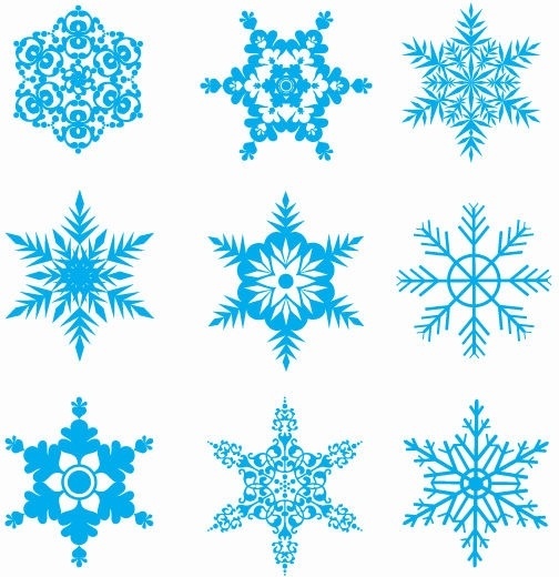 504x520 Free Snowflakes Vector Set Free Vector In Encapsulated Postscript