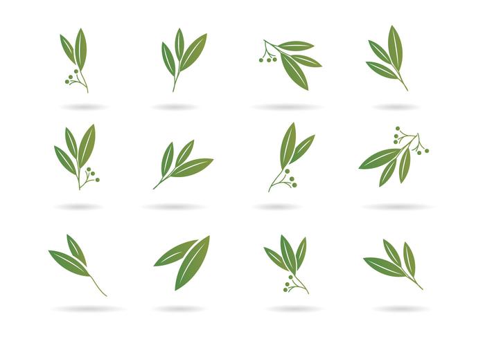 Free Eucalyptus Icons 700x490 Free Eucalyptus Icons