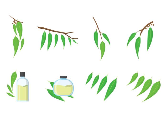 Free Eucalyptus Vector Stock Images 700x490 Free Eucalyptus Vector Stock Images