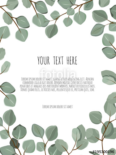 Vector Floral Card Design Eucalyptus Silver Dollar Greenery 375x500 Vector Floral Card Design Eucalyptus Silver Dollar Greenery