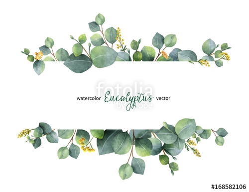 Watercolor Vector Green Floral Banner With Silver Dollar 500x385 Watercolor Vector Green Floral Banner With Silver Dollar