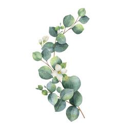 Watercolor Wreath With Green Eucalyptus Vector Ikonki 238x250 Watercolor Wreath With Green Eucalyptus Vector Ikonki
