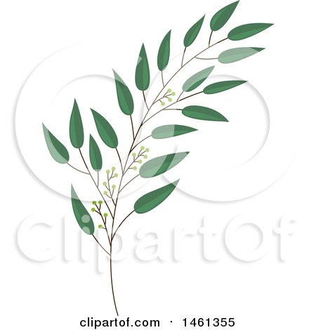 Clipart Of A Green Eucalyptus Branch 450x470 Clipart Of A Green Eucalyptus Branch
