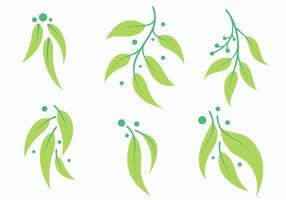 Eucalyptus Free Vector Art 286x200 Eucalyptus Free Vector Art