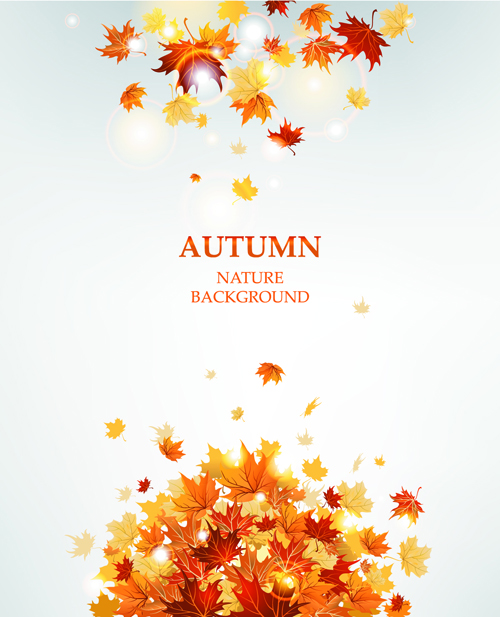 500x617 Bright Autumn Leaves Vector Backgrounds For Free Download