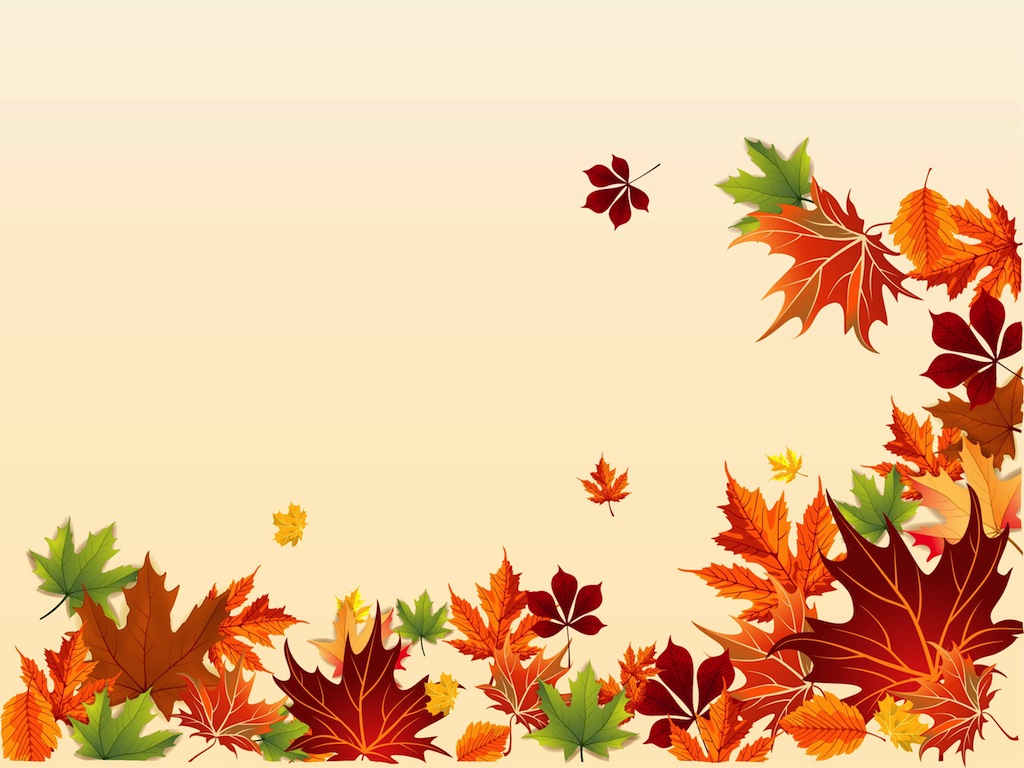 1024x768 Fall Footage Vector Art Graphics