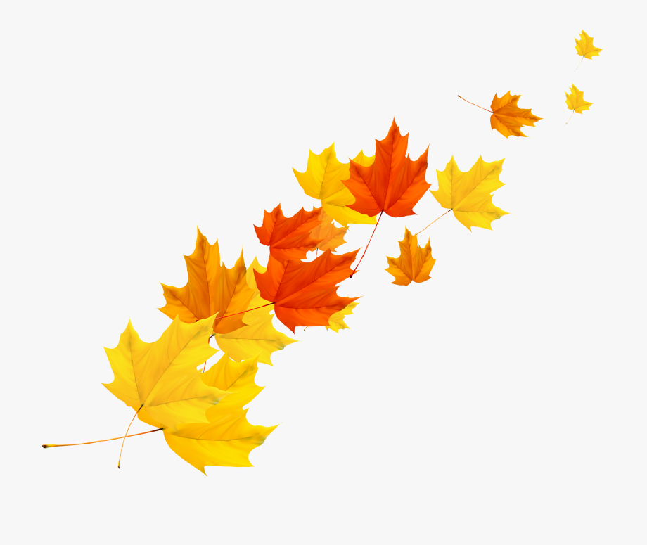 920x775 Fall Leaf Vector Png