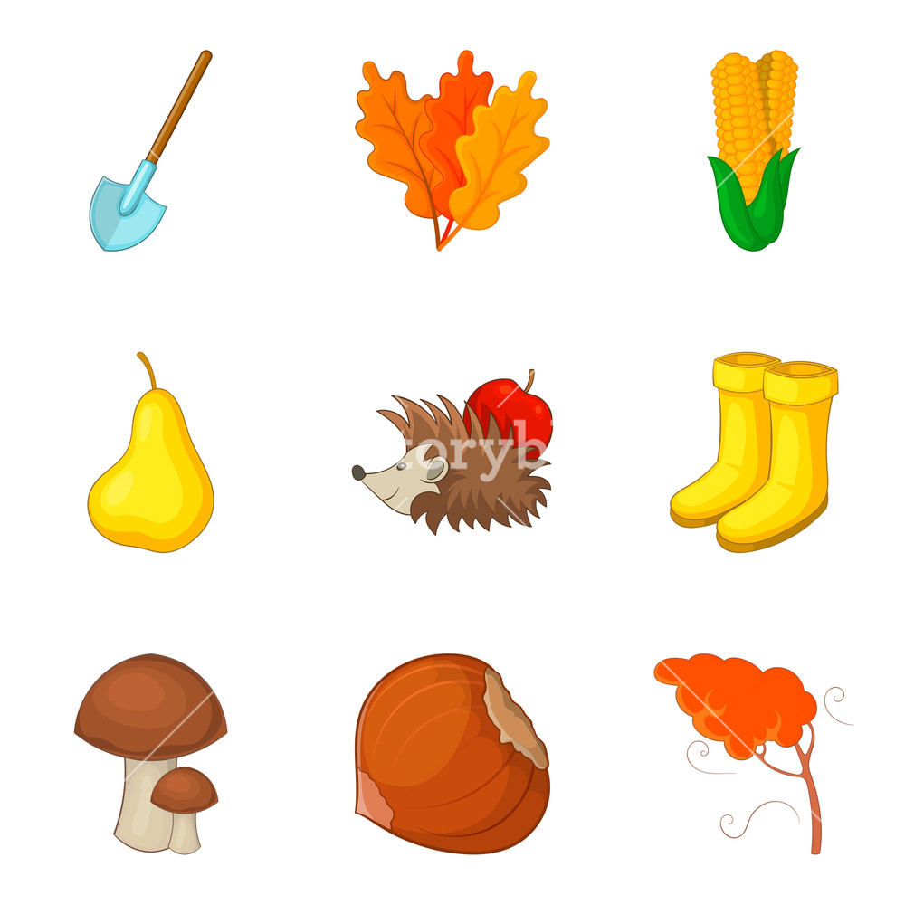 1000x1000 Leaf Fall Icons Set Cartoon Set Of Leaf Fall Vector Icons