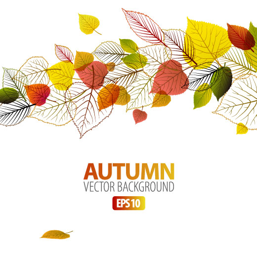 520x520 Autumn Leaves Elements Background Vector Set For Free Download
